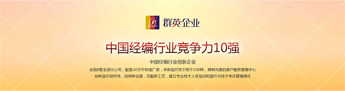 眾和網(wǎng)絡(luò)，網(wǎng)絡(luò)實(shí)戰(zhàn)營(yíng)銷(xiāo)案例，群英經(jīng)編